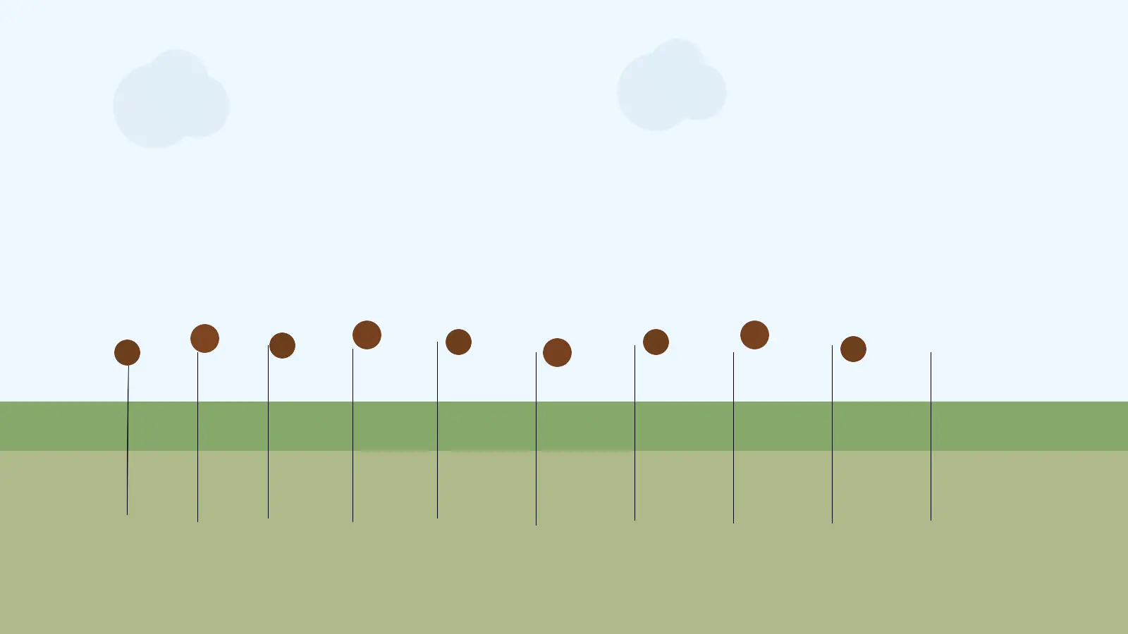 Kolorowa rabata z jeżówkami, rudbekiami i krwawnikiem, pokazująca byliny długo kwitnące do słonecznego ogrodu przez całe lato.