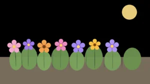 Słoneczna rabata z bylinami kwitnącymi przez całe lato przy nowoczesnym domu, z lawendą, jeżówkami i szałwią w letnim ogrodzie.