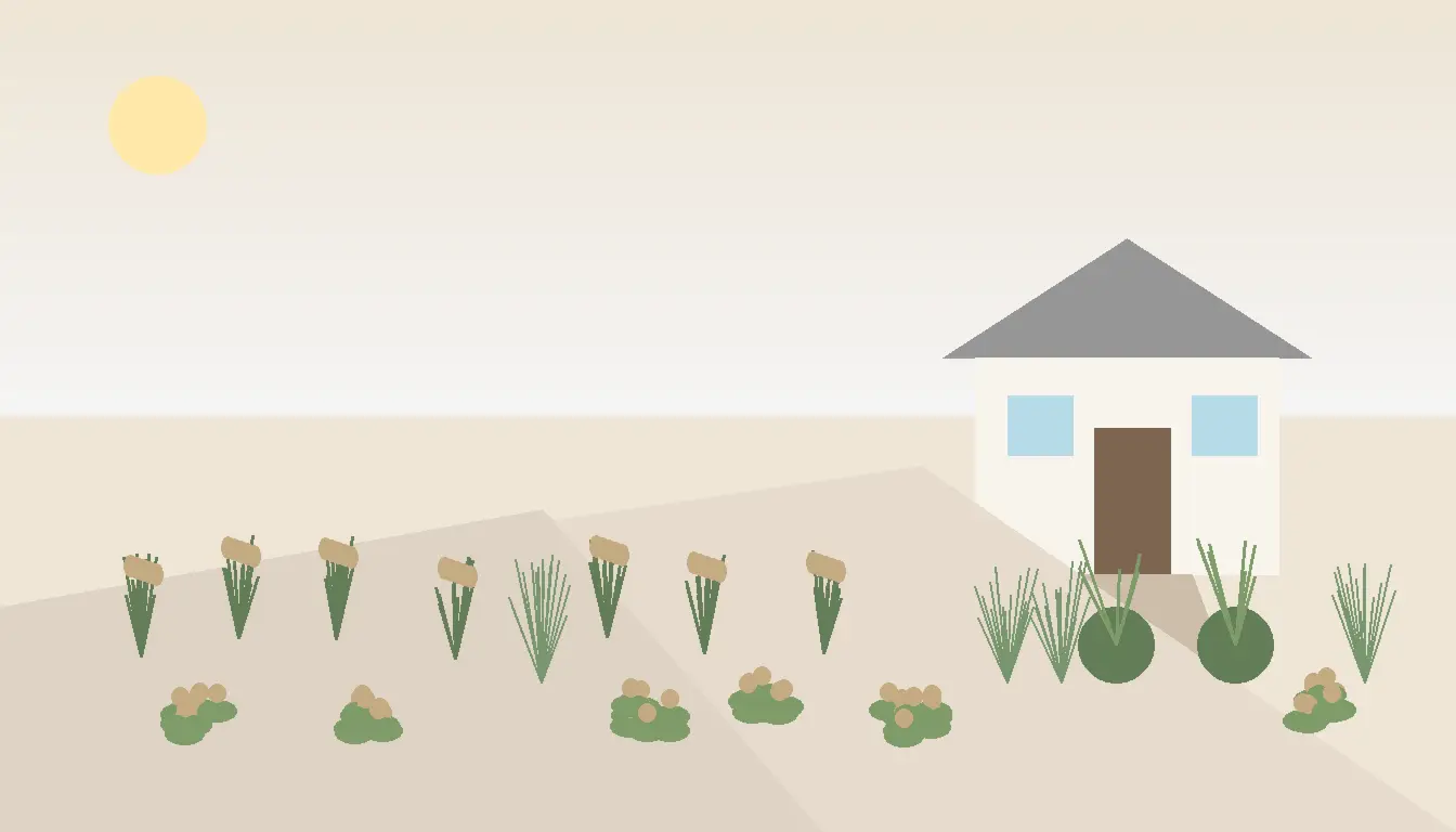 Rabata z roślinami bez podlewania, w tym lawendą, perowskią i kostrzewą siną przy tarasie