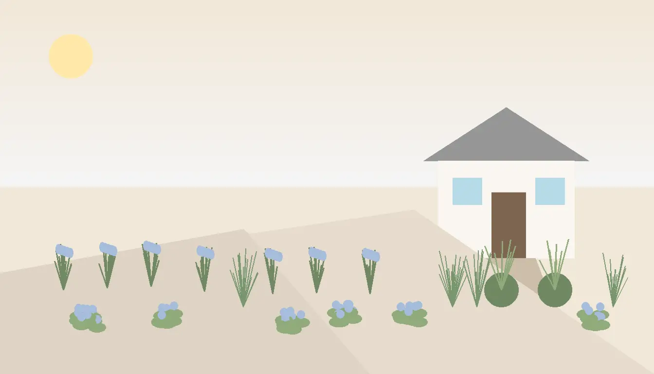 Nowoczesny ogród mało wymagający z żwirowymi ścieżkami, kosodrzewiną i bylinową rabatą odporną na suszę