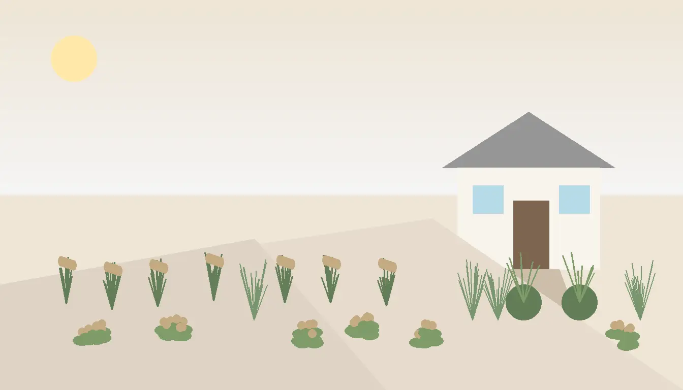 Ogród mało wymagający z lawendą, rozchodnikami i żwirową rabatą przy nowoczesnym domu jednorodzinnym w słoneczny dzień