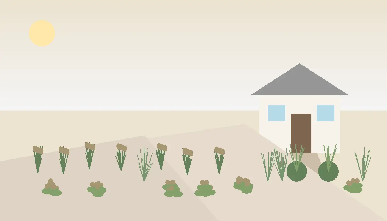 Ogród mało wymagający z lawendą, rozchodnikami i żwirową rabatą w pełnym słońcu przy nowoczesnym domu