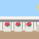 Rośliny na balkon słoneczny w jasnych donicach na południowej ekspozycji z pelargoniami, lawendą i ziołami