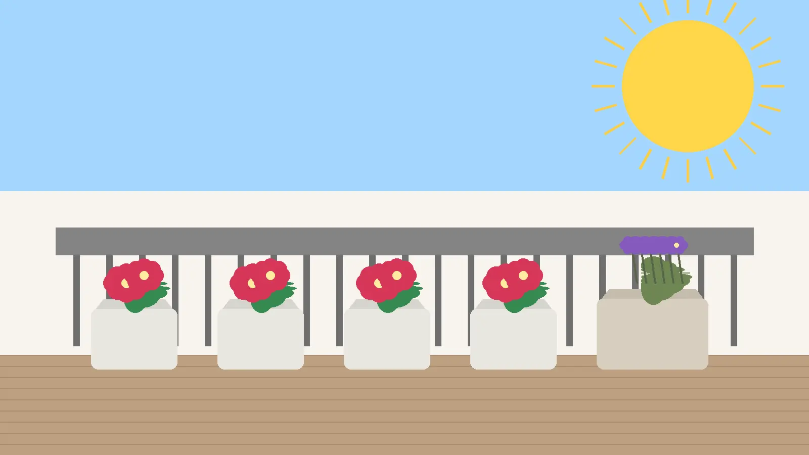 Rośliny na balkon słoneczny w jasnych donicach na południowej ekspozycji z pelargoniami, lawendą i ziołami