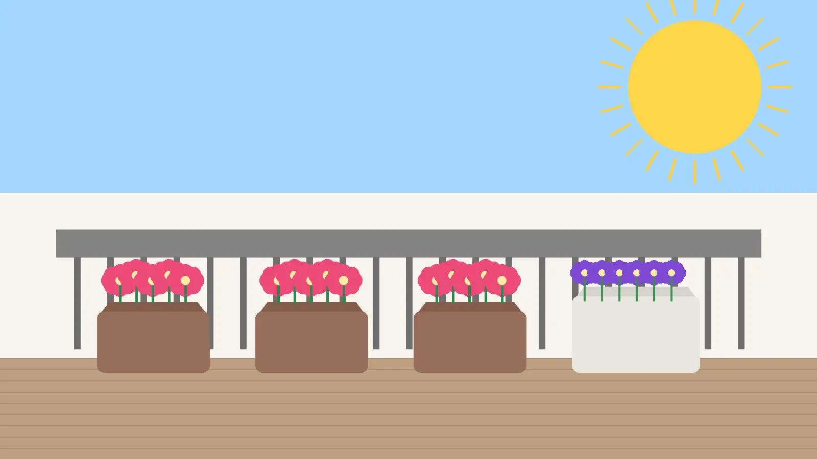 Rośliny na balkon słoneczny w skrzynkach z pelargoniami i surfiniami na balustradzie w pełnym słońcu