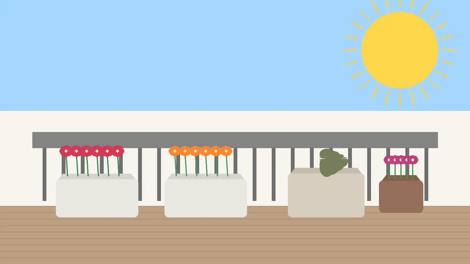 Rośliny na balkon słoneczny podlewane rano konewką przy południowej ekspozycji z pelargoniami i lawendą