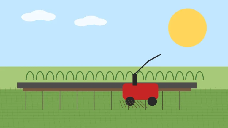 Wertykulacja trawnika wykonana wiosną na przydomowym ogrodzie, gdy murawa ruszyła z wegetacją i wymaga usunięcia filcu